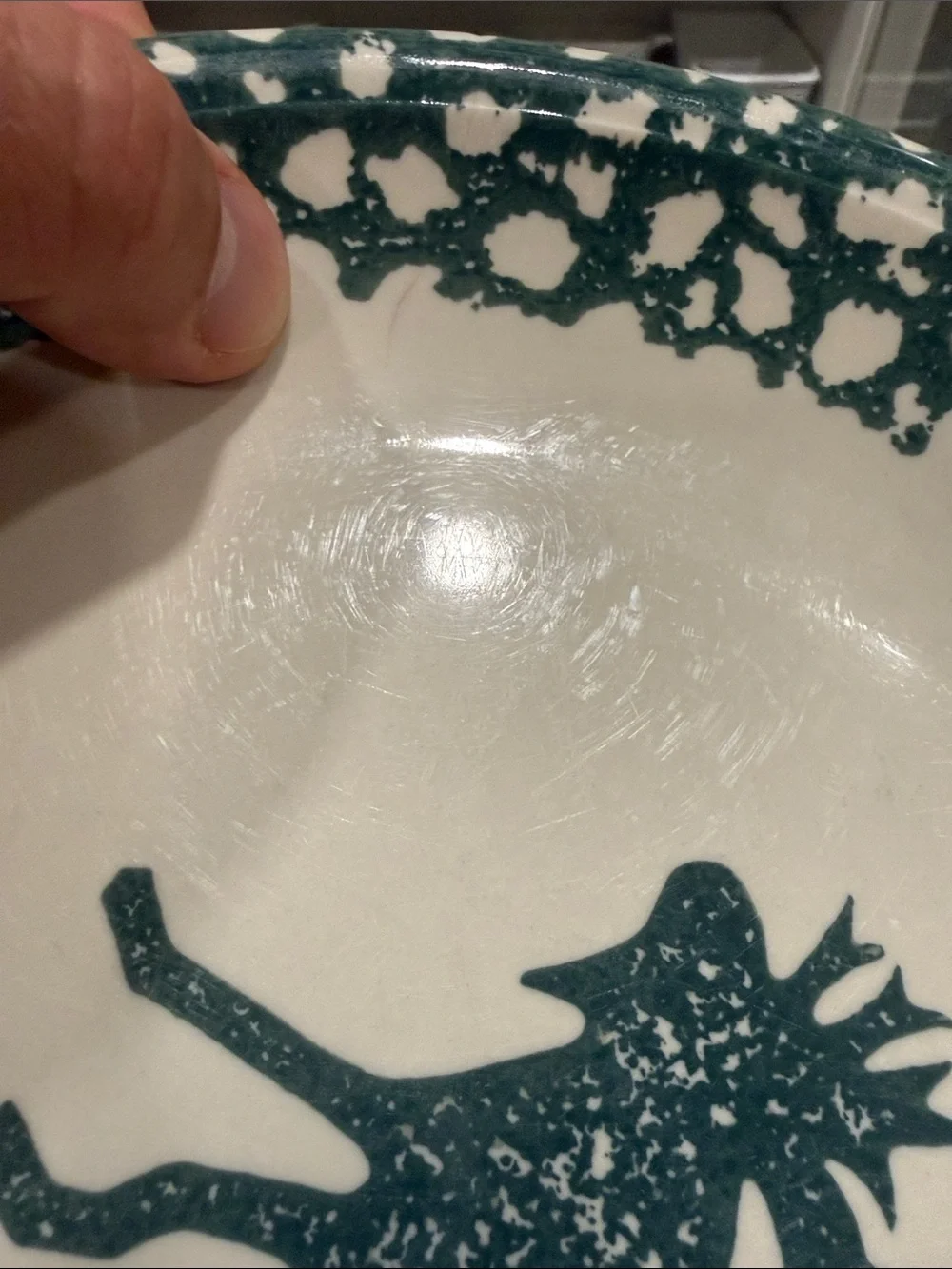 Moose Accent Dinner Plates set of five